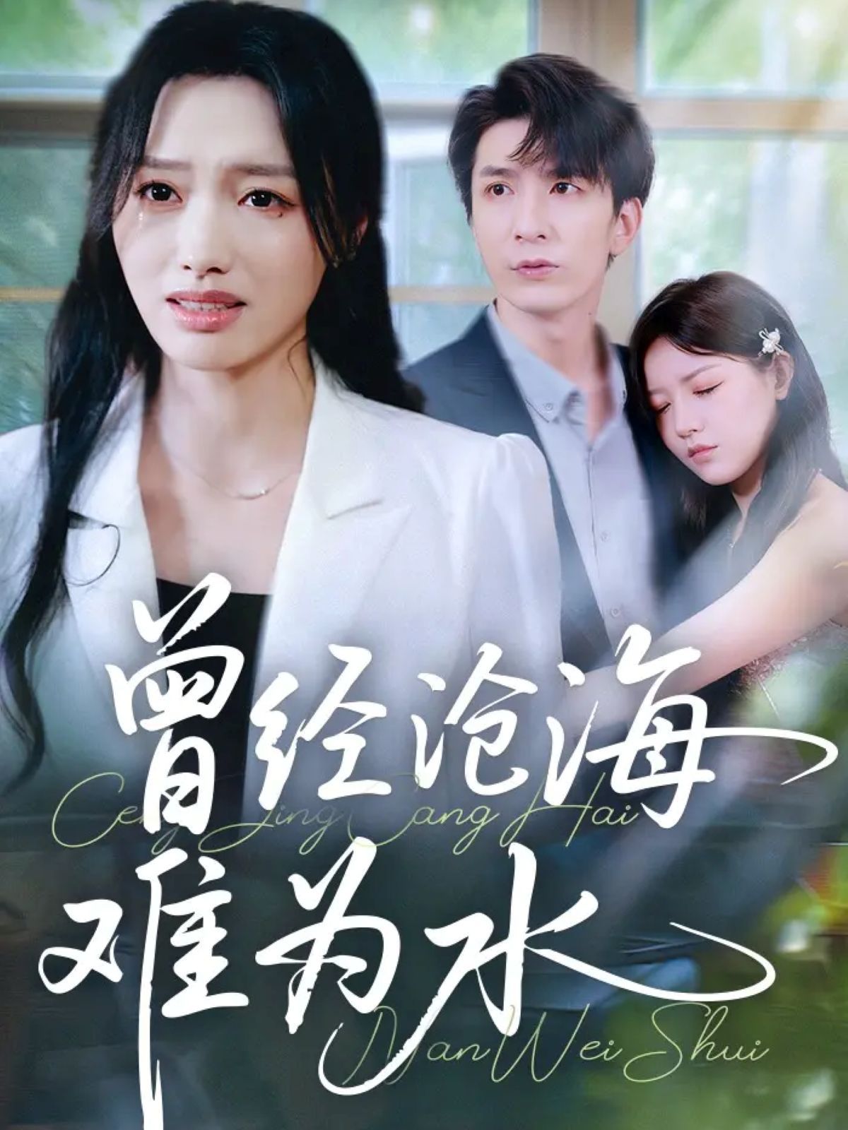 新曾经沧海难为水}