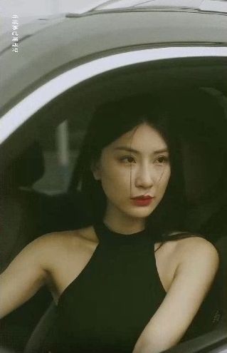 特工凤凰（绝色特工）}