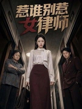 惹谁别惹女律师}