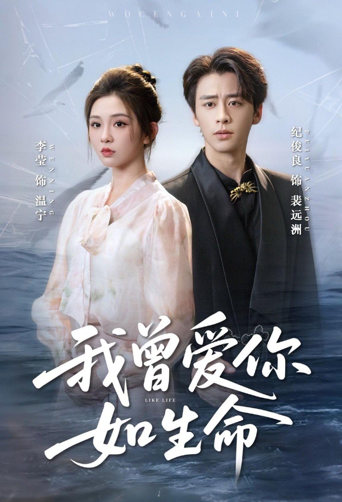 我曾爱你如生命（宁夜向远）}