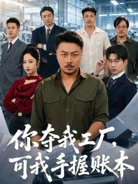 你夺我工厂,可我手握账本