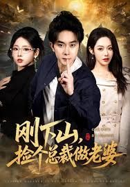 刚下山捡个总裁做老婆}