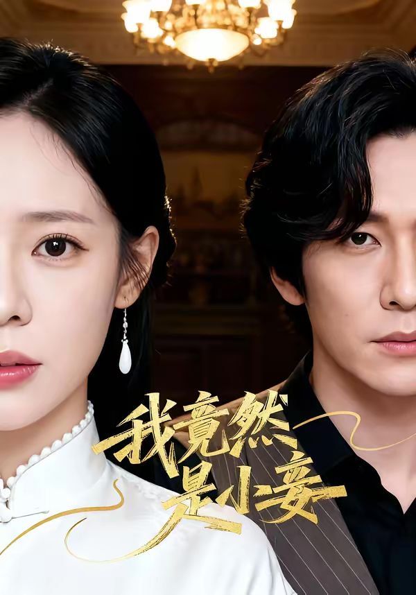 我竟然是小妾}