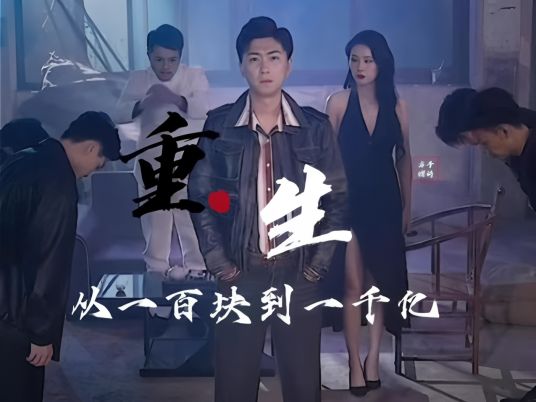 重生后从一百块到一千亿}