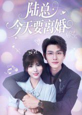 陆总今天要离婚}