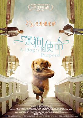 一条狗的使命（原声版）}