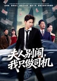 夫人别闹我只做司机}