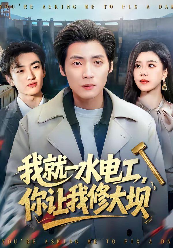 我就一水电工，你让我修大坝}
