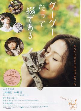 咕咕是一只猫}