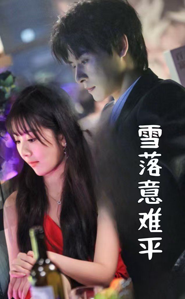 雪落意难平}