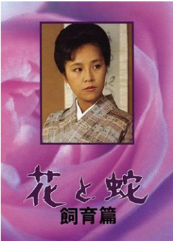 花与蛇 飼育篇}