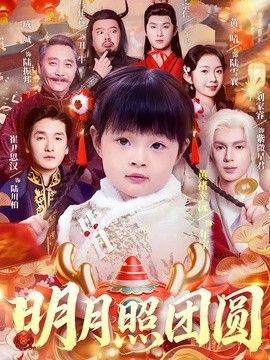 明月照团圆海报
