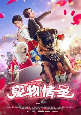 宠物情圣}