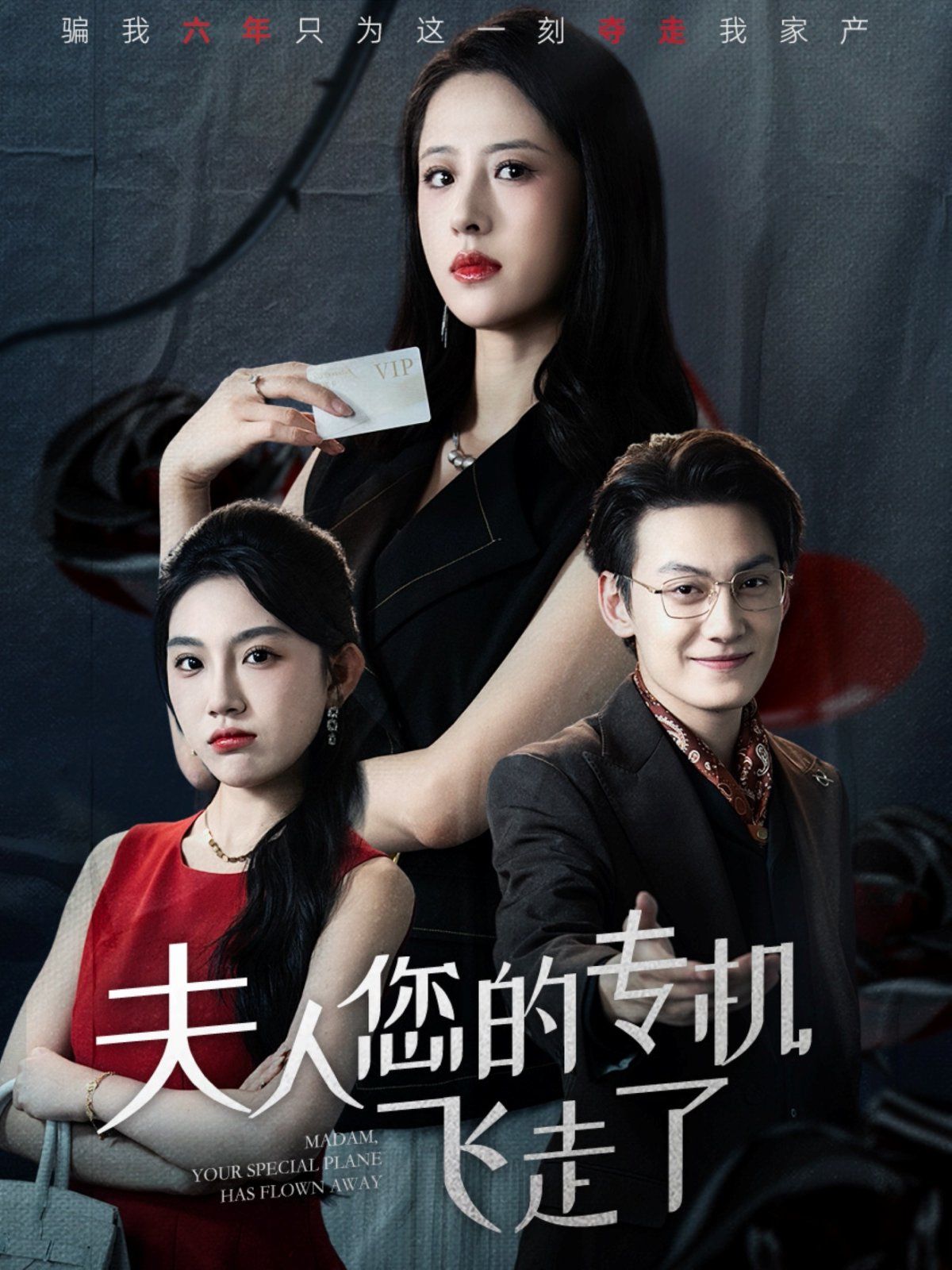 夫人您的专机飞走了}