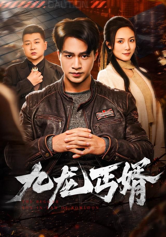 九龙丐婿}