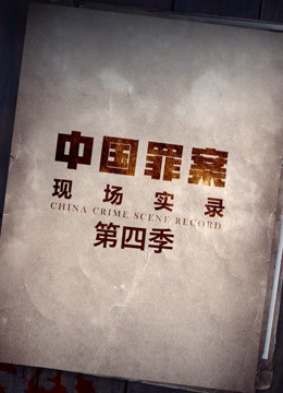 罪案现场实录 第四季}