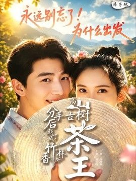 分手后我成了香竹林高山古树茶王}