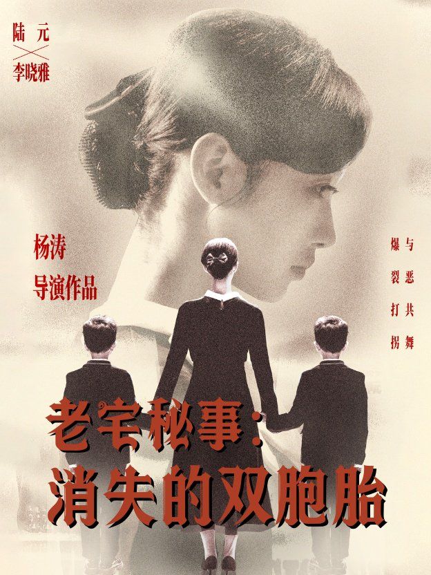 老宅秘事消失的双胞胎（消失的孩子）}