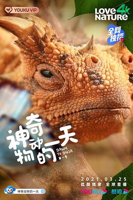 神奇动物的一天 第一季}