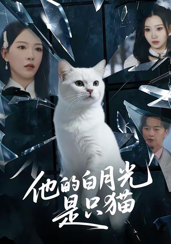 他的白月光是只猫}