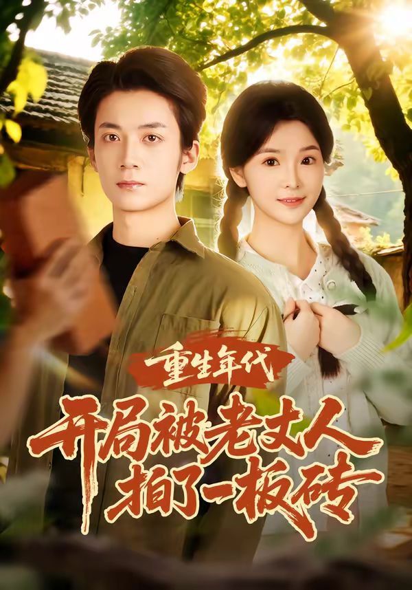 重生年代开局被老丈人拍了一板砖}