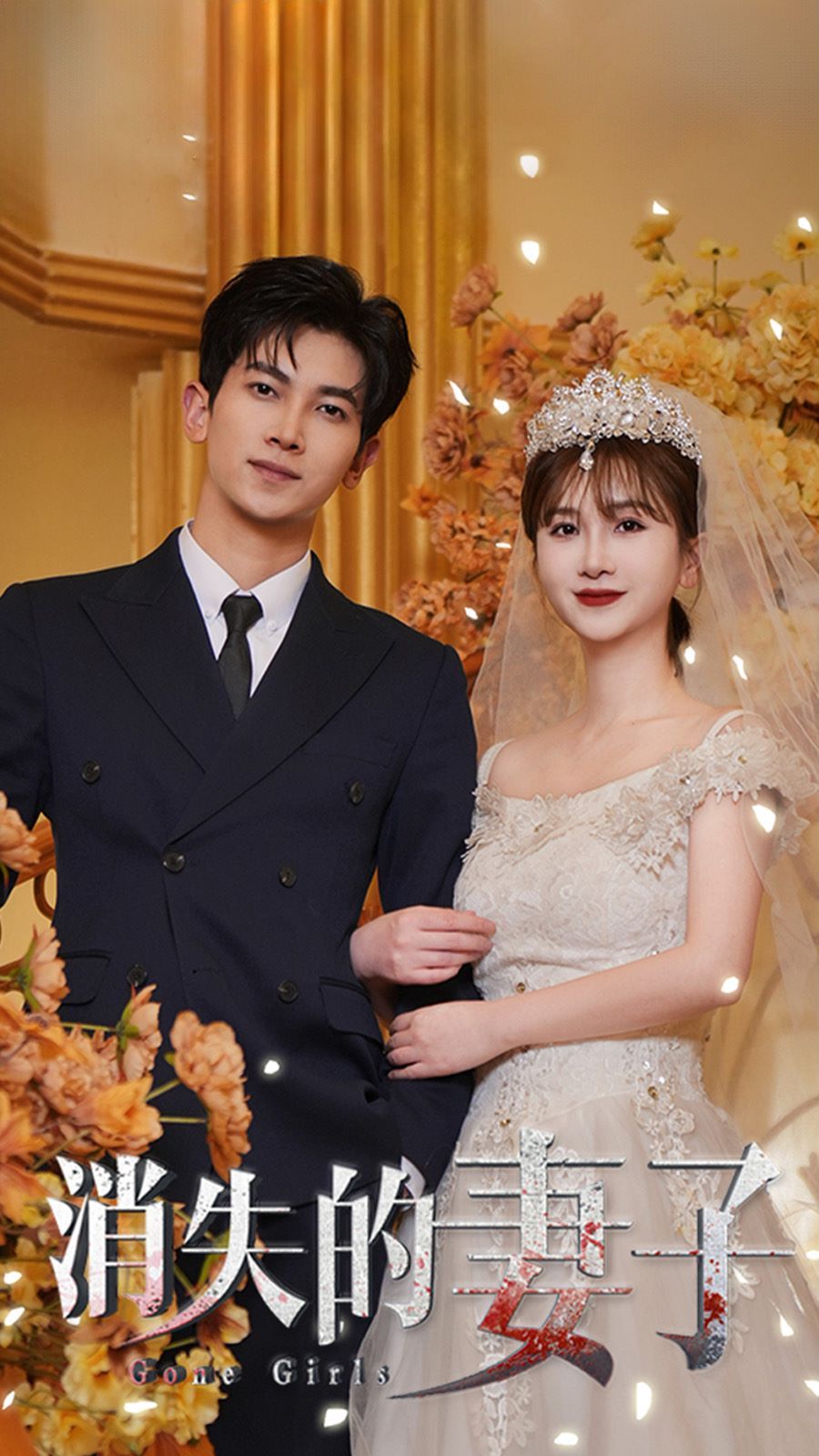 新：消失的妻子}