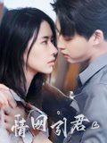情网引君}