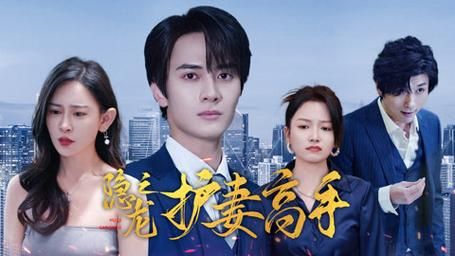 隐龙之护妻高手}