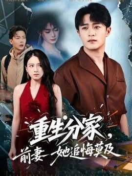 重生分家，前妻她追悔莫及