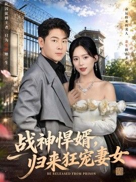 战神悍婿，归来狂宠妻女