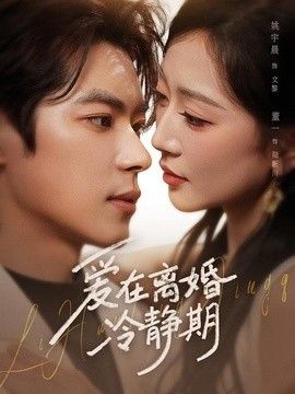 爱在离婚冷静期}