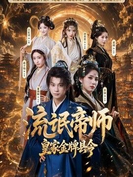 流氓帝师，皇家金牌县令海报