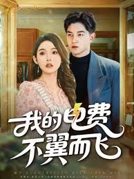 我的电费不翼而飞}
