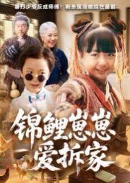 锦鲤崽崽爱拆家}