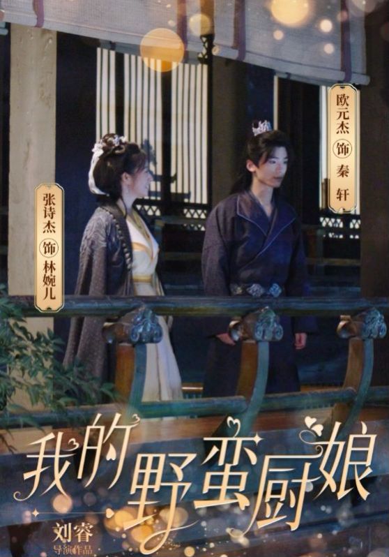 我的野蛮厨娘}