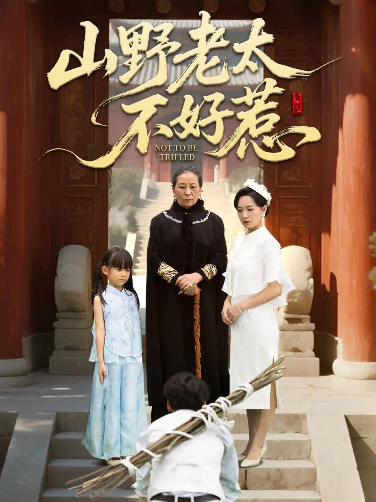 山野老太不好惹（奶奶一脚震全城）}