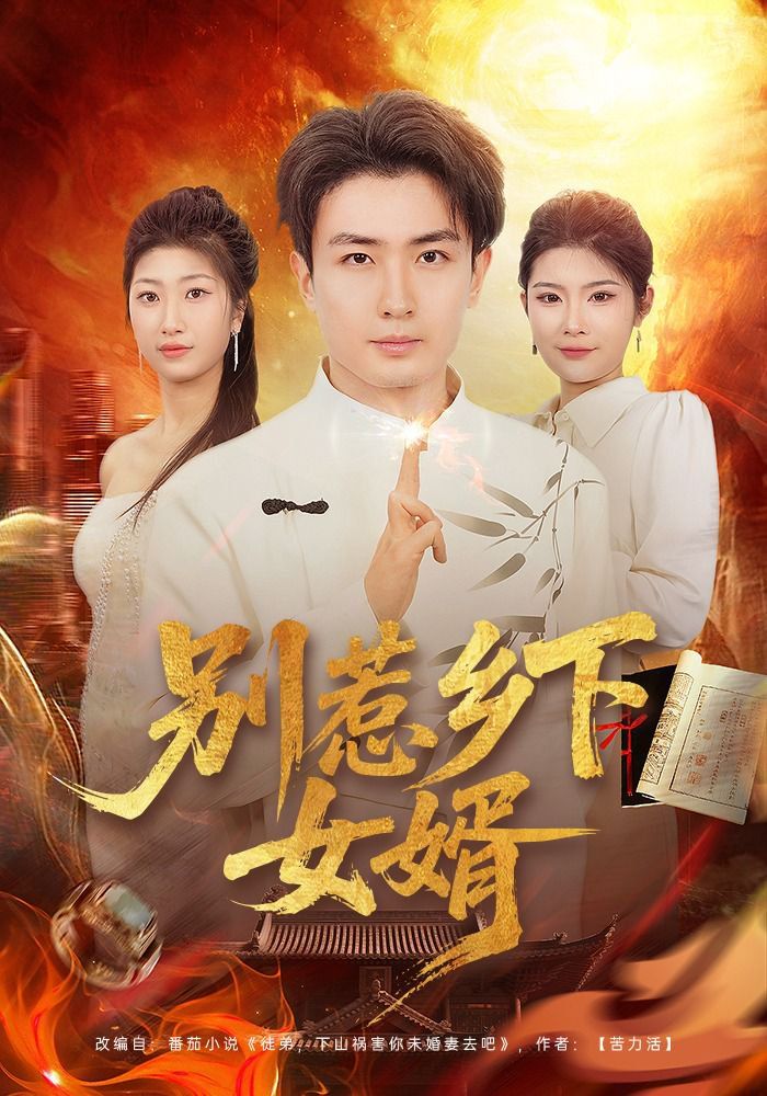 别惹乡下女婿}