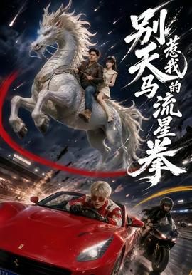 别惹我的天马流星拳}
