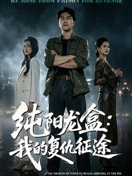 纯阳龙盒：我的复仇征途}