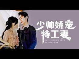 少帅娇宠特工妻}