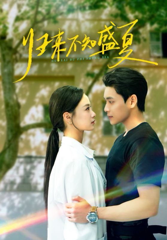归来不知盛夏}