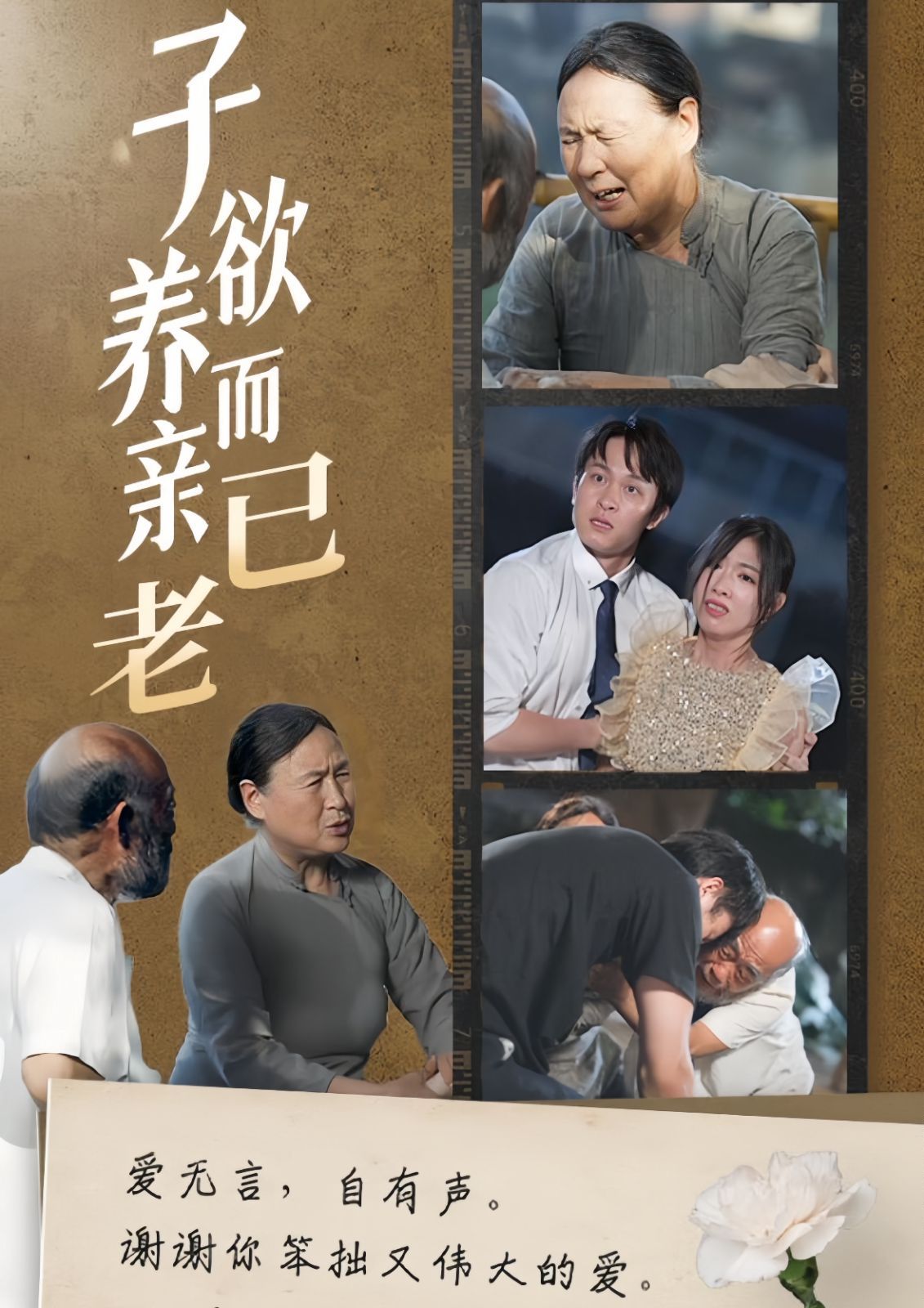子欲养而亲已老}