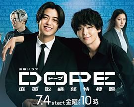 DOPE 麻药取缔部特搜课}
