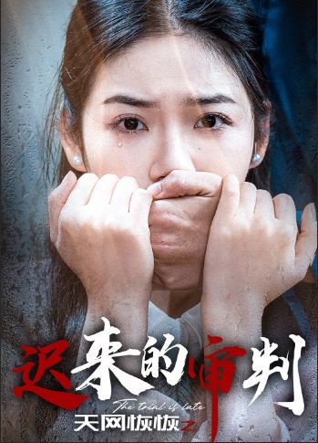 天网恢恢之迟来的审判}