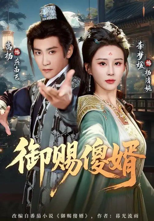 御赐傻婿}