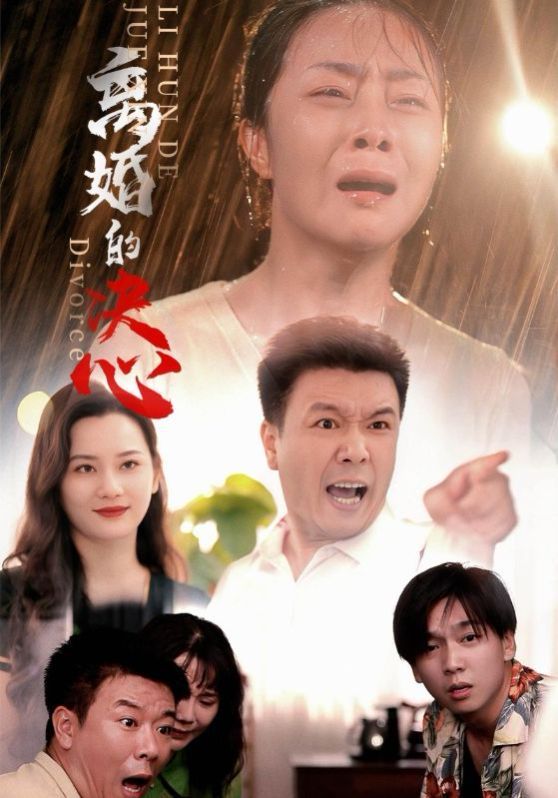 离婚的决心}