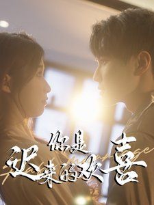 你是迟来的欢喜2025}