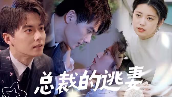 总裁的逃妻}