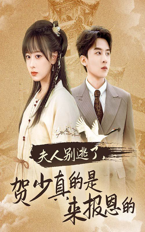 夫人别逃了贺少真的是来报恩的}