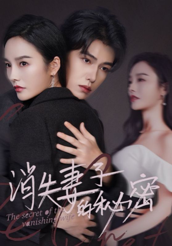 消失妻子的秘密}